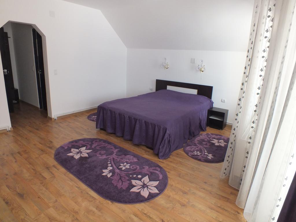Hotel Pensiunea Eliza Podu Cosnii Habitación foto