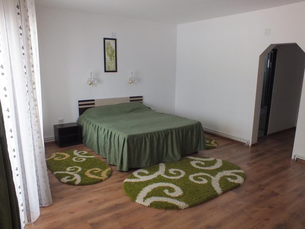 Hotel Pensiunea Eliza Podu Cosnii Habitación foto